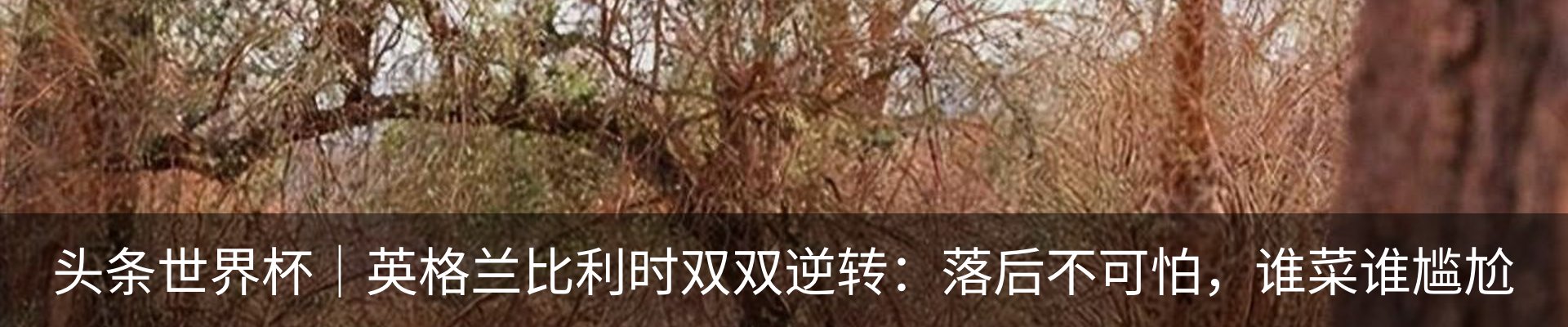 热点资讯